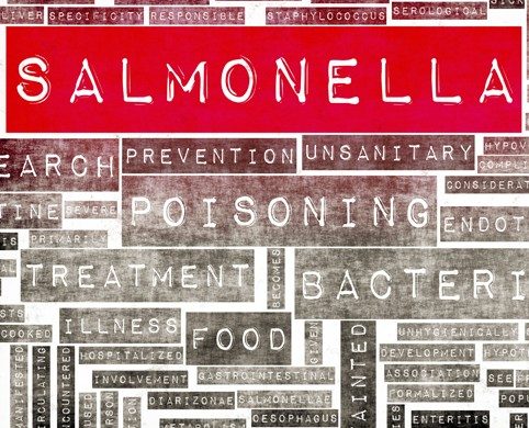 Cuidado con la intoxicación alimentaria