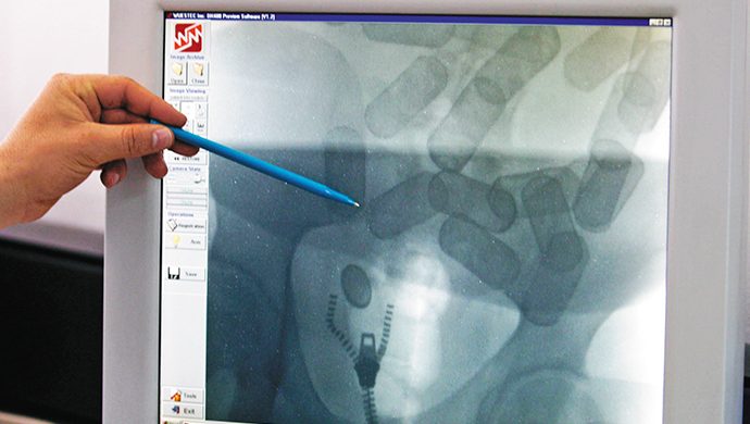 Mulas: con el tráfico en el cuerpo
