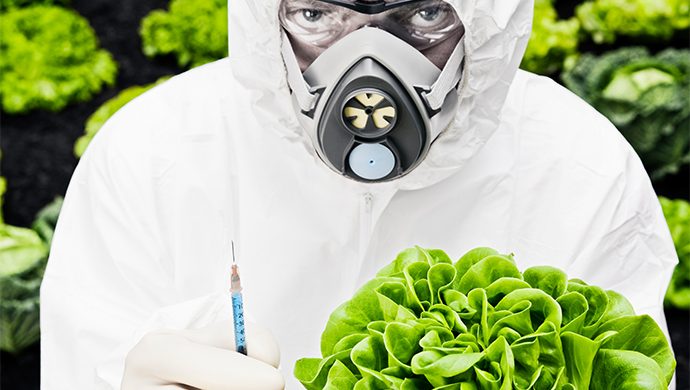 Alimentos manipulados