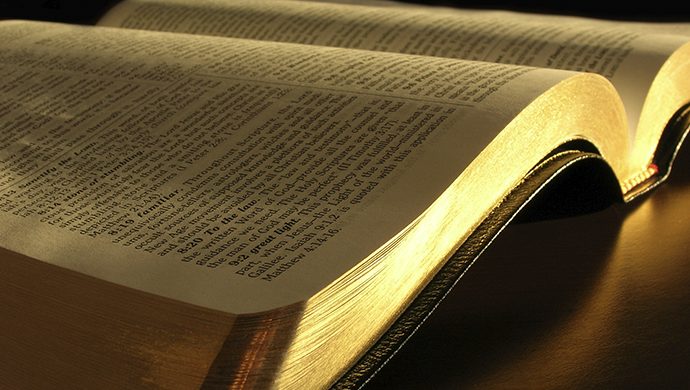 Lea la Biblia en 1 año – 47° día