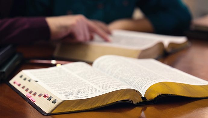 Lea la Biblia en 1 año – 61° día