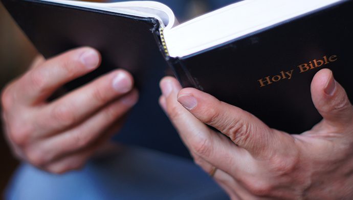 Lea la Biblia en 1 año – 208° día