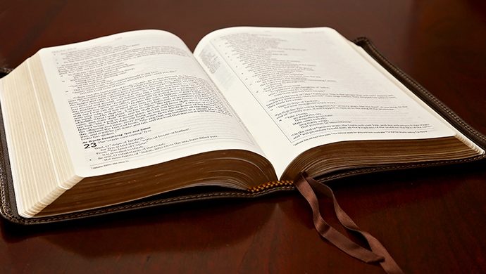 Lea la Biblia en 1 año – 189° día