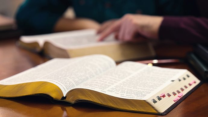 Lea la Biblia en 1 año – 292° día