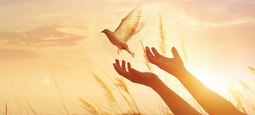 La importancia de tener el Espíritu Santo